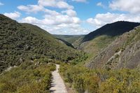 Panorámica de la ruta del Boquerón del Estena, abajo al fondo, sus estratos geológicos y el camino a su mirador en primer plano. Panorámica de la ruta del Boquerón del Estena, abajo al fondo, sus estratos geológicos y el camino a su mirador en primer plano.