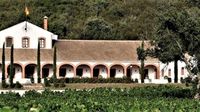 Una experiencia única para descubrir el proceso de elaboración de nuestros vinos de pago, desde el viñedo hasta la copa. Una experiencia única para descubrir el proceso de elaboración de nuestros vinos de pago, desde el viñedo hasta la copa.