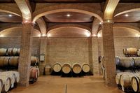 Una experiencia única para descubrir el proceso de elaboración de nuestros vinos de pago, desde el viñedo hasta la copa. Una experiencia única para descubrir el proceso de elaboración de nuestros vinos de pago, desde el viñedo hasta la copa.