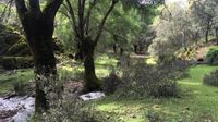 Tres rutas con una gran variedad de ambientes: laderas, barrancos, pequeños arroyos y el río Estena siempre presente.