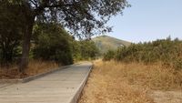 Camino adaptado de madera, paralelo al río Estena, en el Área recreativa del Acebo. Camino adaptado de madera, paralelo al río Estena, en el Área recreativa del Acebo.