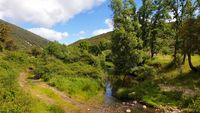 Río Estena en la zona de Fuentefría, la primera de las dos fuentes Río Estena en la zona de Fuentefría, la primera de las dos fuentes