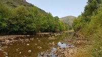Tabla del Acebo con la sierra de “Majalaburra” al fondo. Junto a la de Las Torres, es la foto más repetida de Navas de Estena. Tabla del Acebo con la sierra de “Majalaburra” al fondo. Junto a la de Las Torres, es la foto más repetida de Navas de Estena.