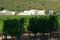 Viñedos y edificios de la finca Dehesa del Carrizal. Viñedos y edificios de la finca Dehesa del Carrizal.
